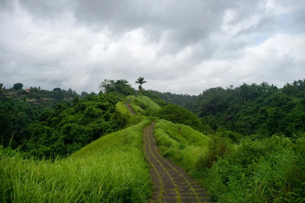Campuhan Ridge Walk scenic trail in Ubud Bali